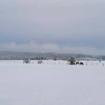 A-frame Punthuisje Vargheim Prázdninový dům Bullange