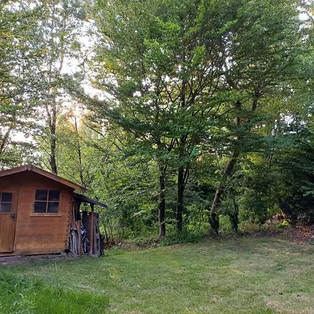 A-frame Punthuisje Vargheim * Bullange