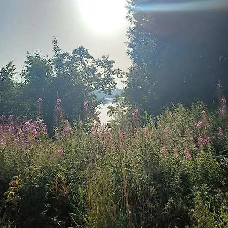 Ferienhaus A-frame Punthuisje Vargheim *