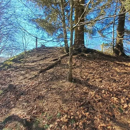 A-frame Punthuisje Vargheim Bullange
