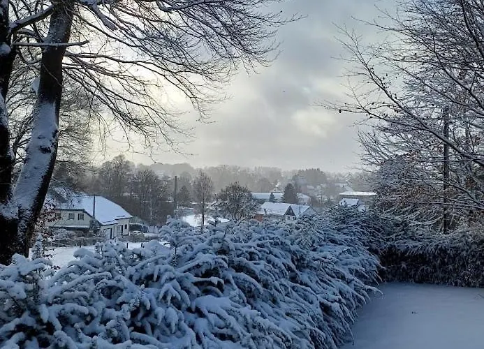 A-frame Punthuisje Vargheim Ferienhaus Büllingen