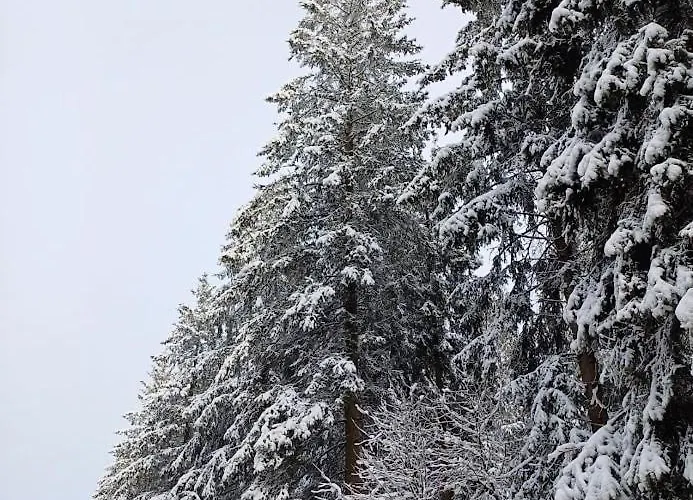 A-frame Punthuisje Vargheim Büllingen