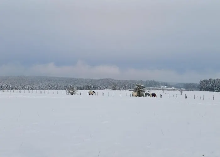 A-frame Punthuisje Vargheim Ferienhaus Büllingen