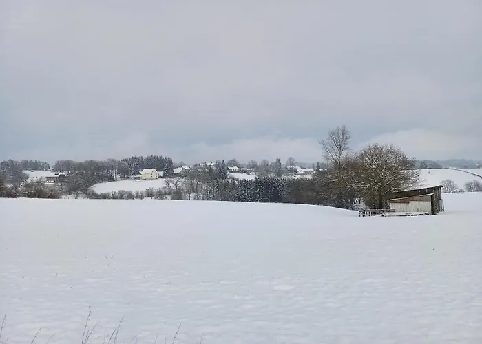 Ferienhaus A-frame Punthuisje Vargheim *
