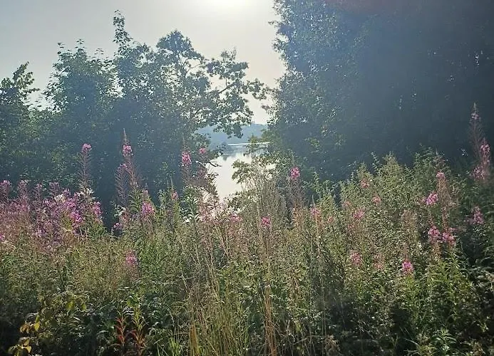 Ferienhaus A-frame Punthuisje Vargheim *