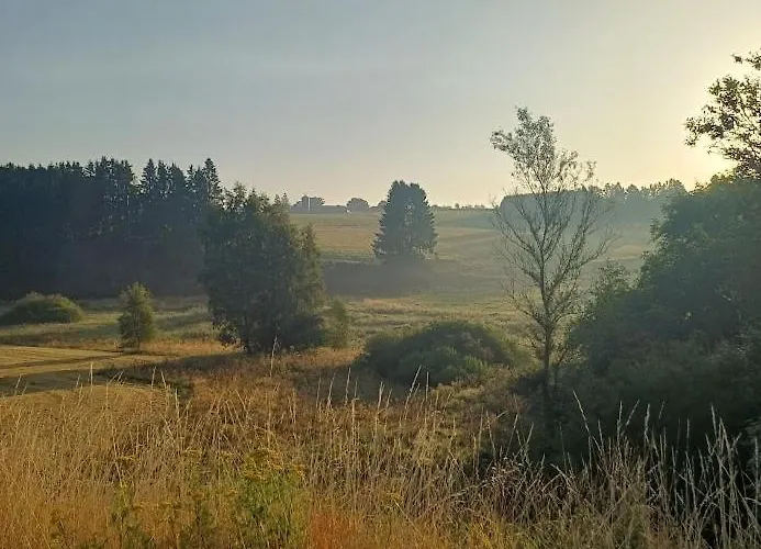 A-frame Punthuisje Vargheim Büllingen