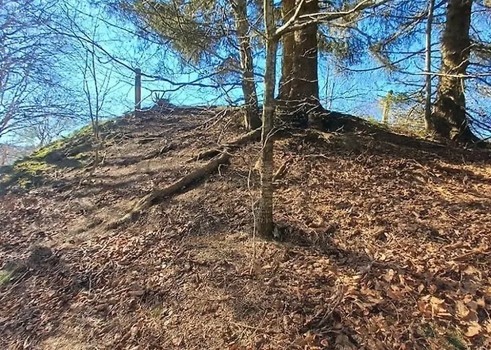 A-frame Punthuisje Vargheim Büllingen